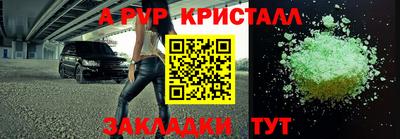 a pvp Свободный